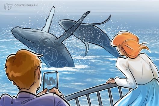 Büyük yatırımcılar kripto para transfer ediyor, lakin alıcılar yok: Uzman analist açıklıyor