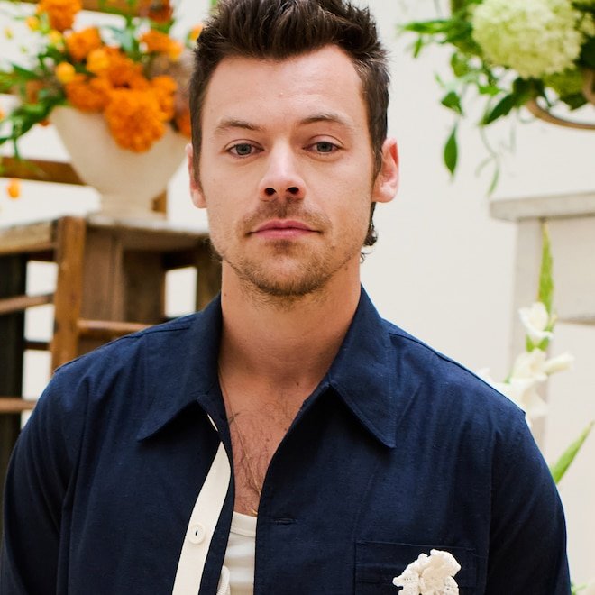 Harry Styles Shares Rare Insight: Into Life as an Uncle