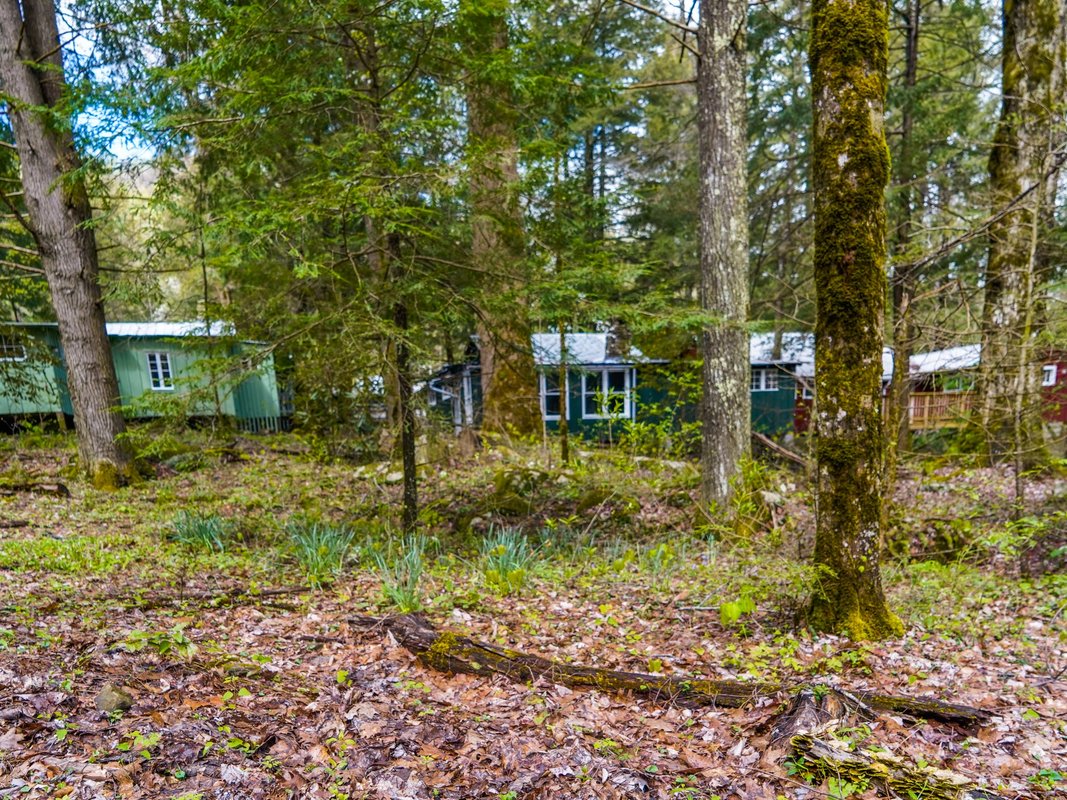 I explored an abandoned resort town in the Great Smoky Mountains, where the wealthy vacationed 100 years ago