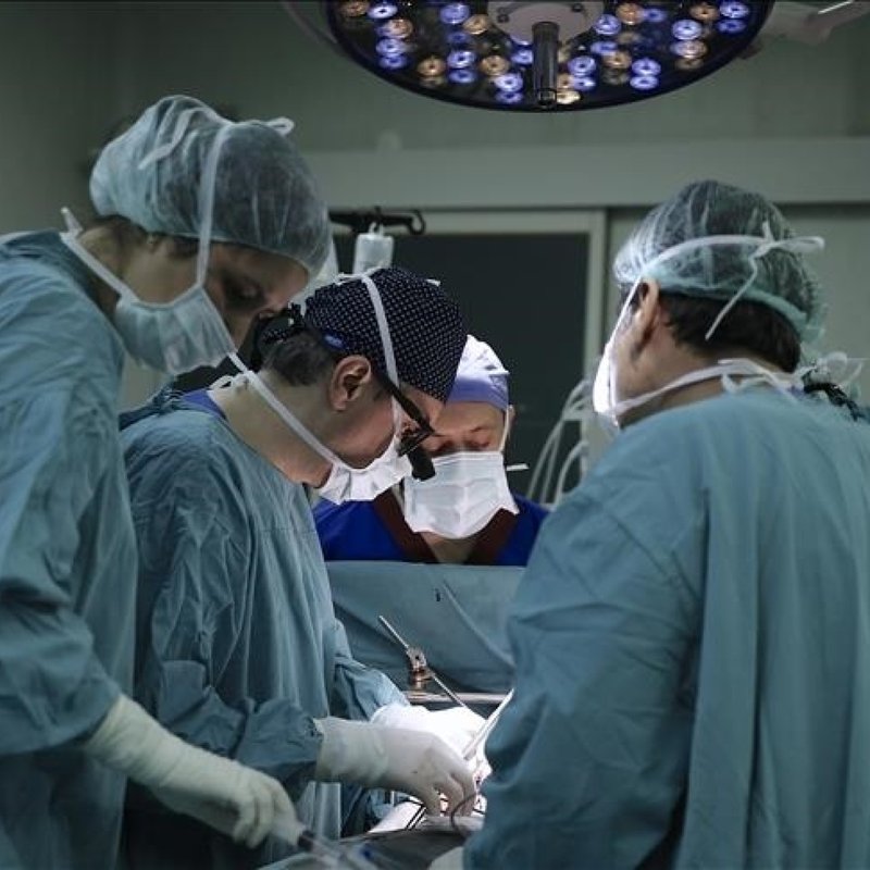 Türkiye'de 2025 yılında toplam 5.095 organ nakli gerçekleştirildi