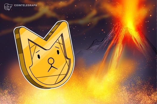 "Memecoin'ler, yıl içinde yüzde 65 değer kaybederek mutluluk dolu dönemden sert bir düşüşe geçti"