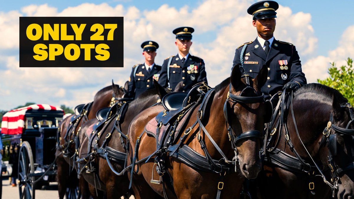Inside the Army's $30 million effort to revamp its funeral horse program after a series of horse deaths