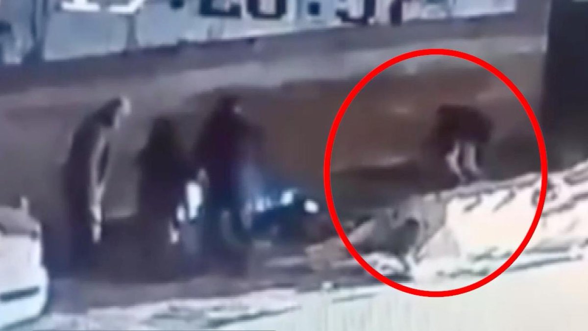 Bursa'da serbest dolaşan bir: sokak köpeği, üç bireye saldırdı.