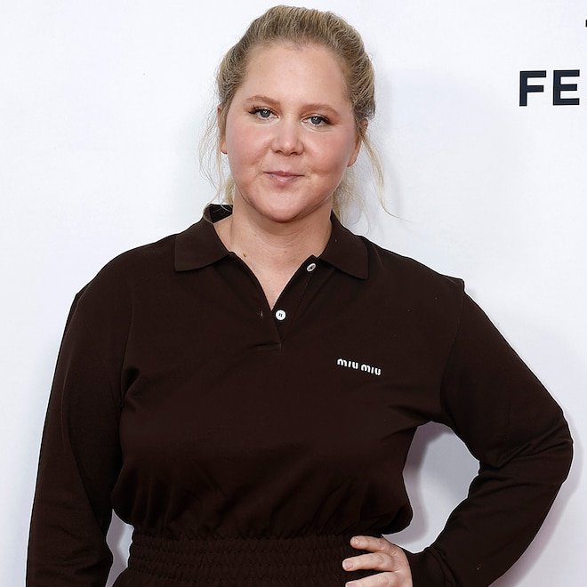 Amy Schumer Posts "Thirsty" Swimsuit: Photo After Chris Fischer Breakup