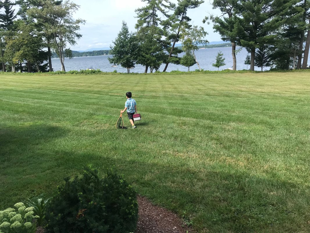 My family of 5 traveled to Vermont every summer for 8 years. The low-cost trip brought us closer together.