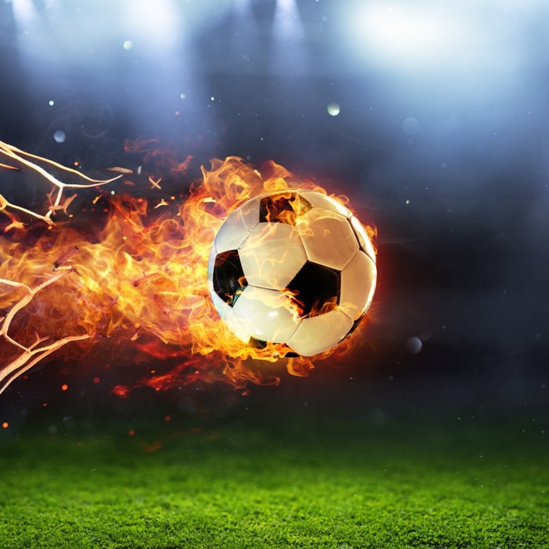 "43 Süper Lig teknik direktörü,: PFDK'ya disiplin kurulu için gönderildi!"