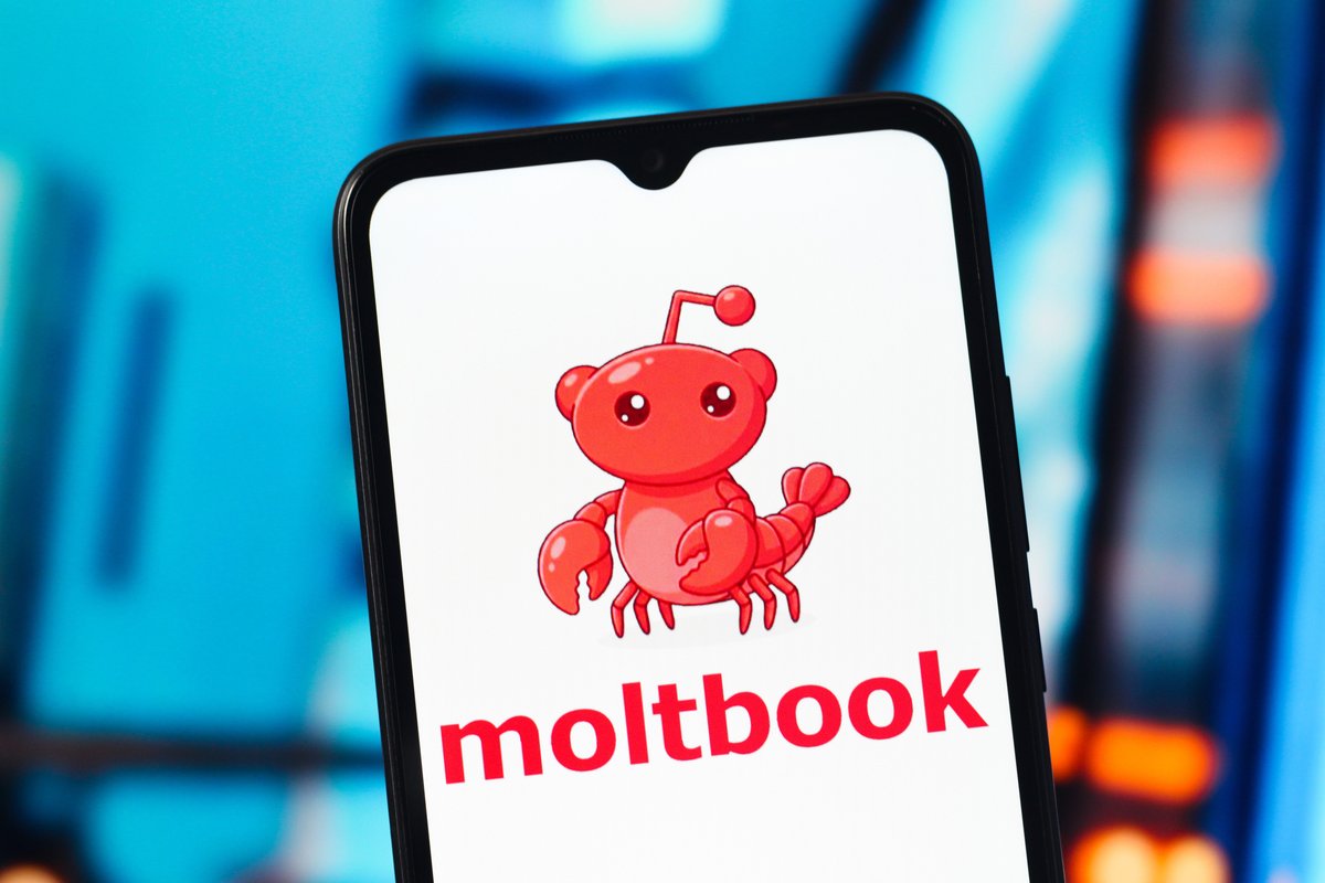 Moltbook, iki Roomba'nın çarpışmasını izlemek kadar keyifli değil.