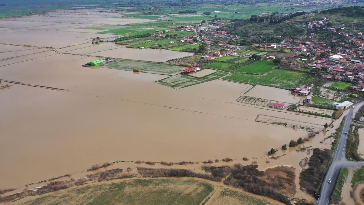 Aydın'da Büyük Menderes Nehri taşarak tarım arazilerini su baskınına uğrattı