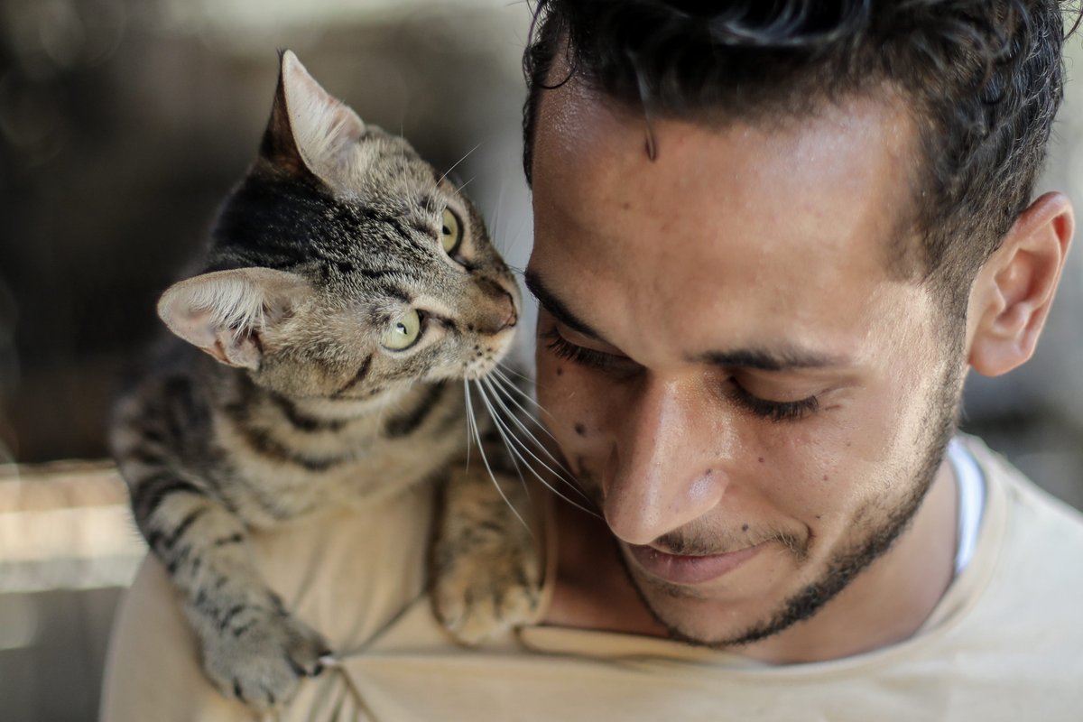 Gen Z is adopting cats at higher rates: than dogs. Pet care company Rover is taking notes.
