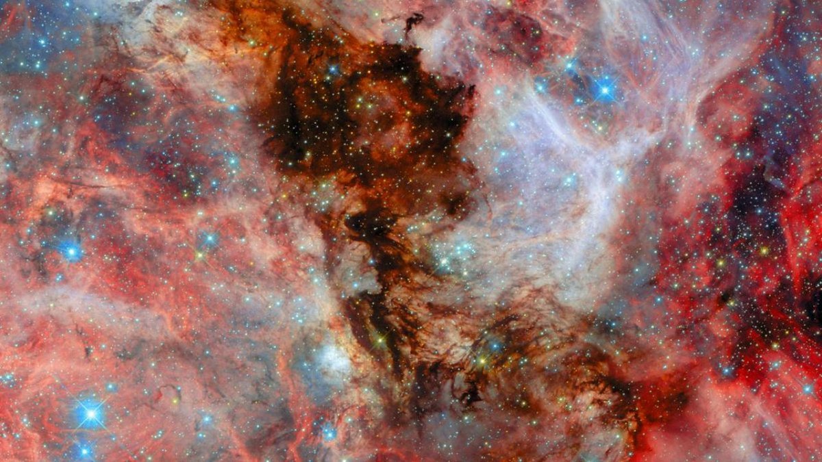 "Hubble Teleskobu, Yakın Galaksideki: Genç Yıldızları Kayıt Etti"