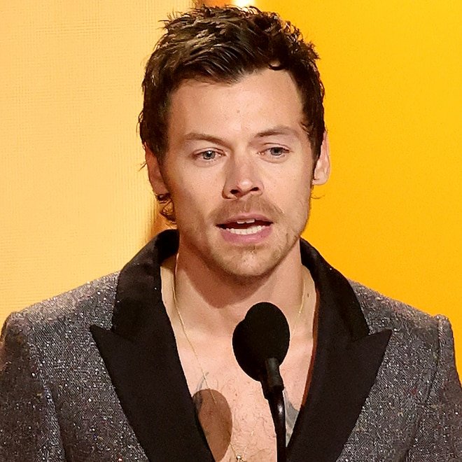 Harry Styles Teases Family Plans: As Zoë Kravitz Romance Heats Up