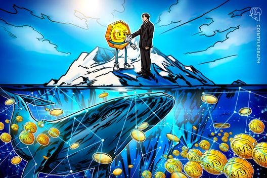 "310 milyar dolarlık stabilcoin: piyasasının kripto benimsemesi üzerindeki etkileri"