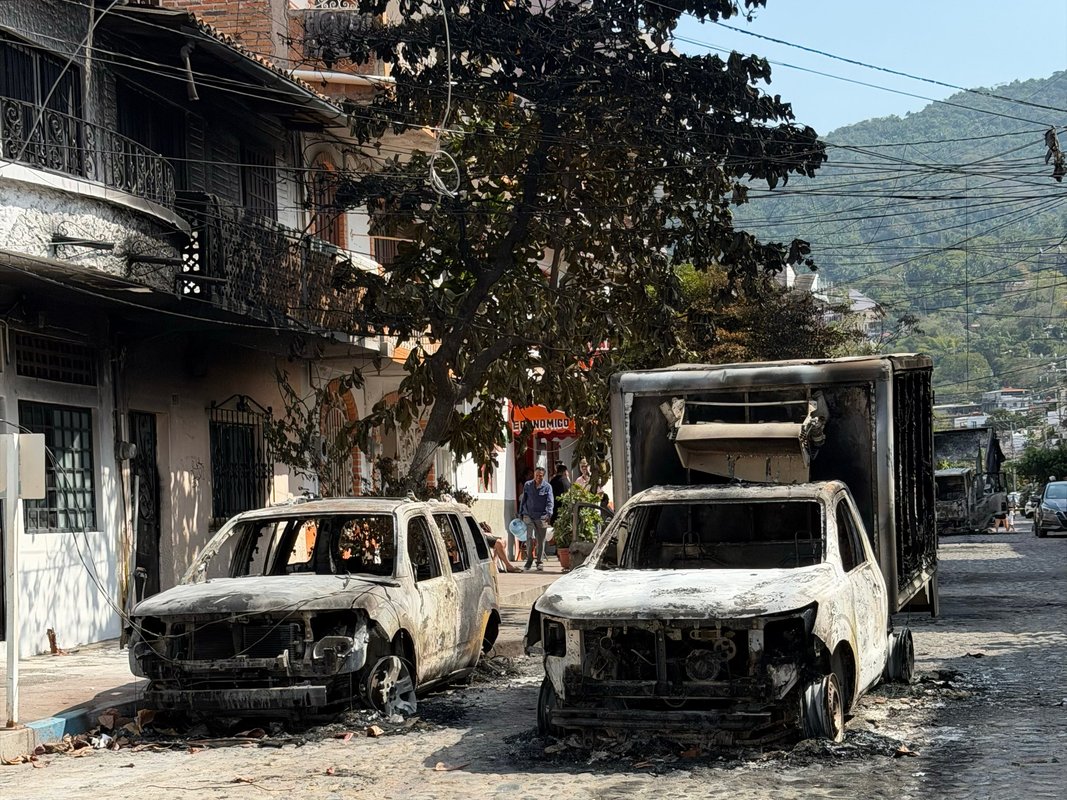 My family winters in Puerto Vallarta and we're leaving early due to the cartel violence. We'll come back as soon as we can.
