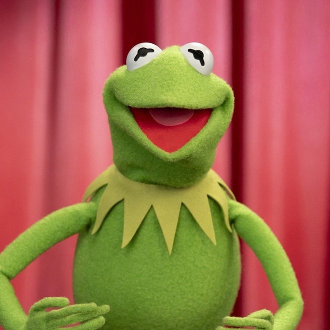 Kermit the Frog'dan "Kısa Krallar" için Esprili Moda Önerileri