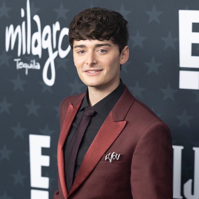 Did Noah Schnapp Debut a New Relationship? Here's The Truth