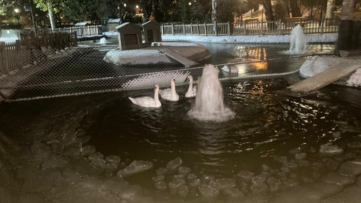 Ankara'da sıcaklık -11 dereceye geriledi: Kuğulu Park’taki gölet dondu