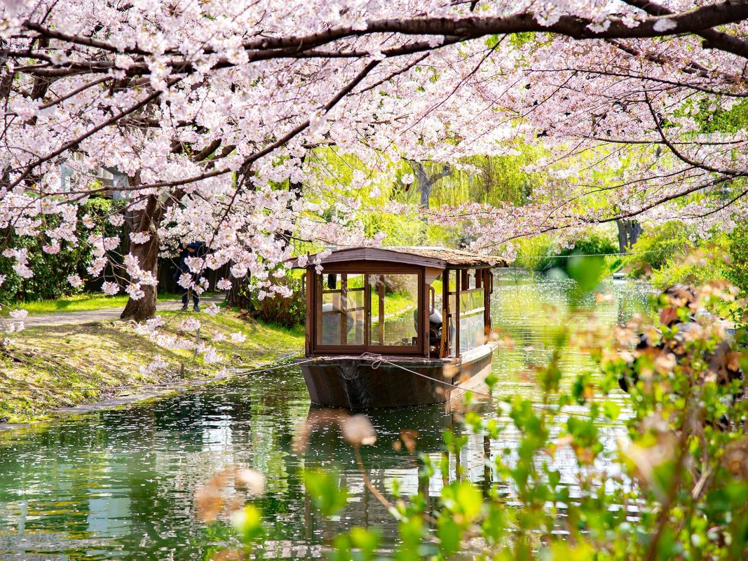 I visited Japan for the first time. The trip was great, but I could've easily avoided these 5 mistakes.