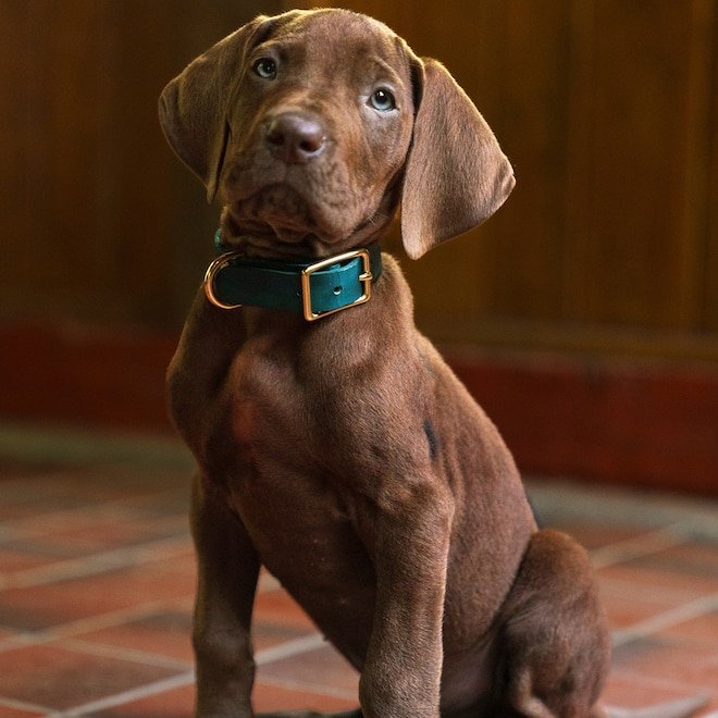 Scooby-Doo Fans Are Divided Over First Look at Live Action Remake