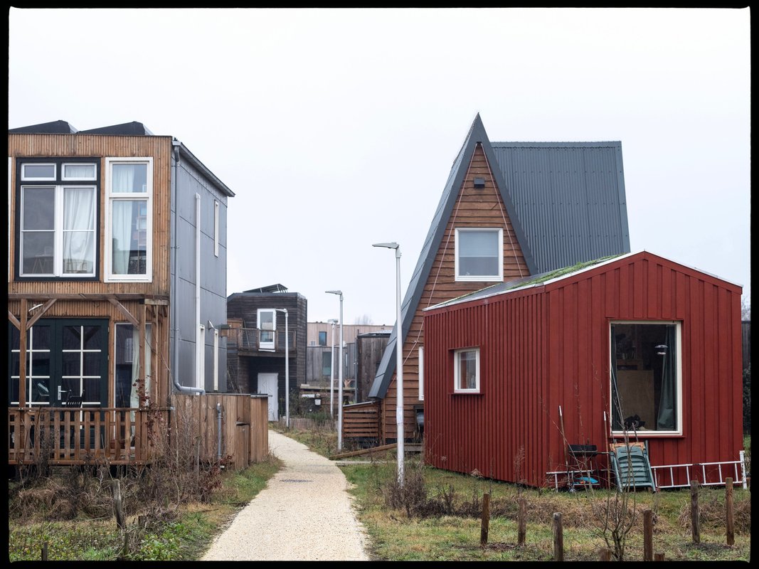Older divorced women priced out of housing are finding a lifeline in tiny home villages