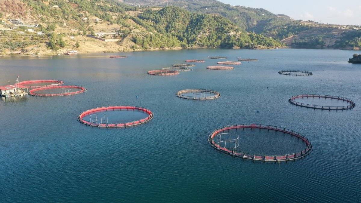 Karadeniz bölgesinin deniz ürünleri ihracatı 36 farklı ülkeye yaygınlaştı