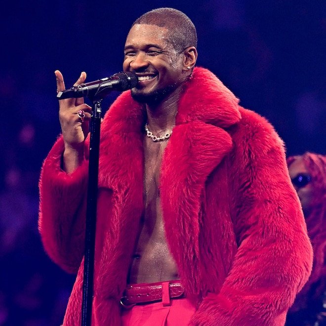 Usher Halts Steamy Onstage Routine After Awkward Moment With Fan