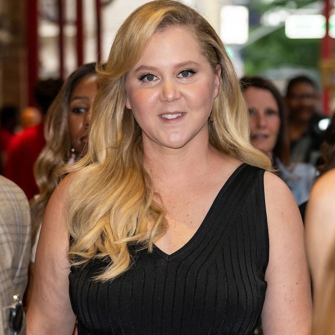Amy Schumer Shares Look At “Dream Home” After Chris Fischer Breakup