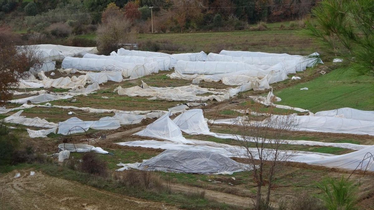 Manavgat'ta meydana gelen hortum, 14 sera için kullanılamaz duruma yol açtı.