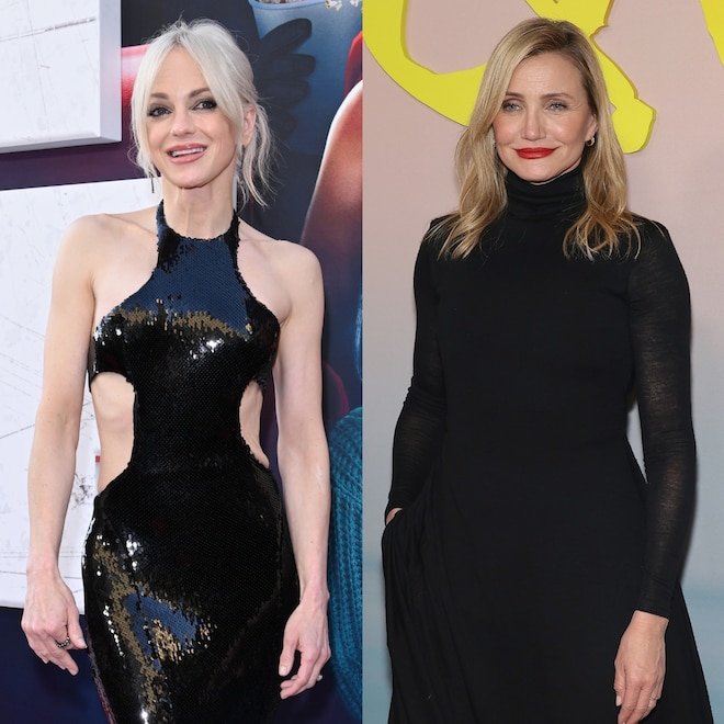 Anna Faris Denies Shading Cameron: Diaz With Lost in Translation Role