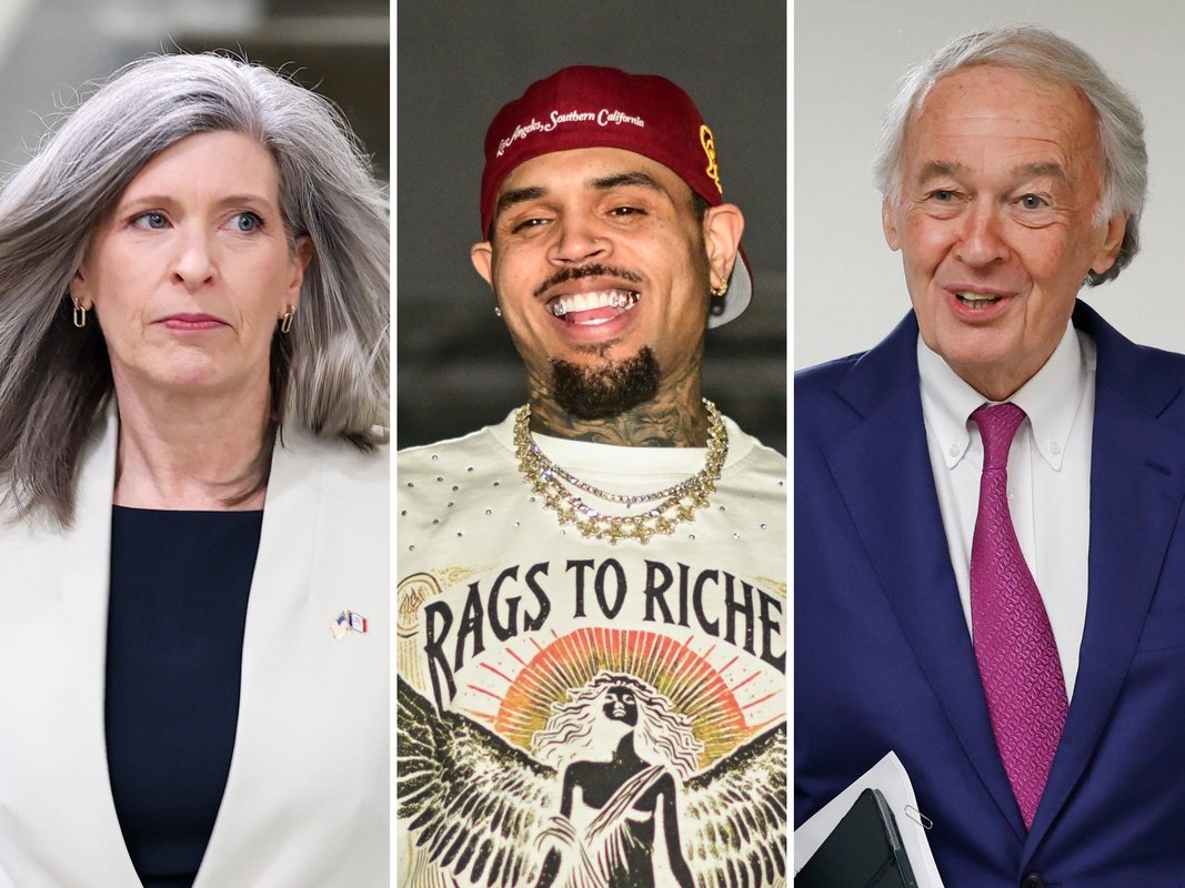 Senator pushes pandemic-era fraud bill forward, citing Business: Insider's report on Chris Brown's taxpayer-funded birthday party